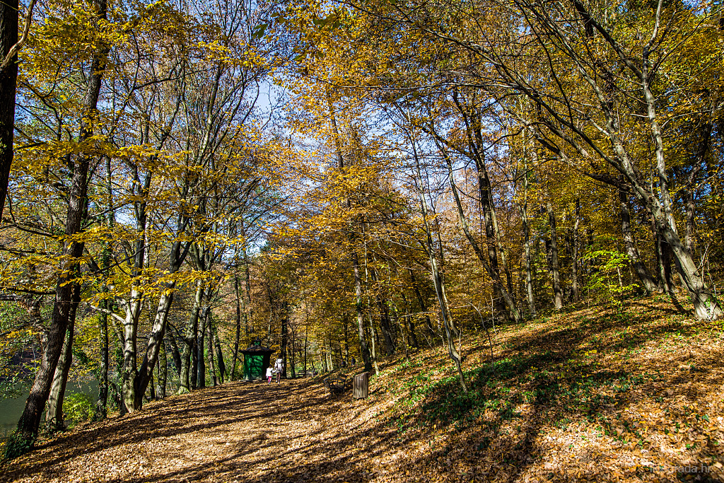 maksimir-jesen-01112016-18
