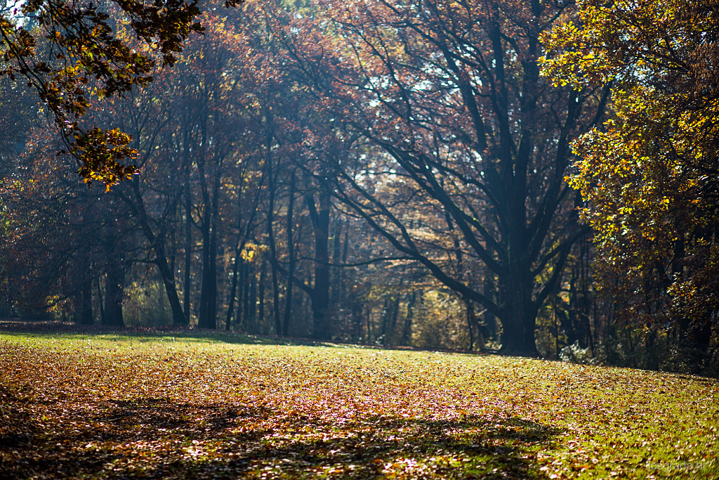 maksimir-jesen-01112016-20